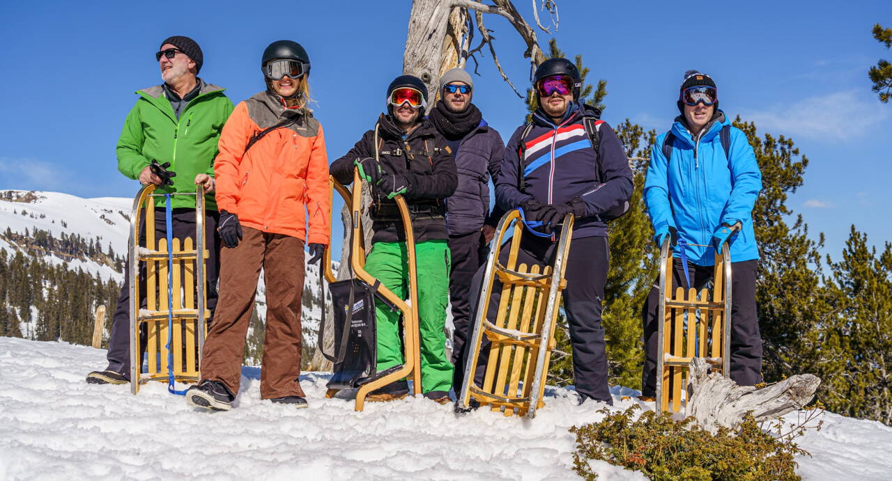 p34b_gruppe_baum.jpg Entwickeln, optimieren, industrialisieren, mit echtem Impact in innovativem Umfeld!