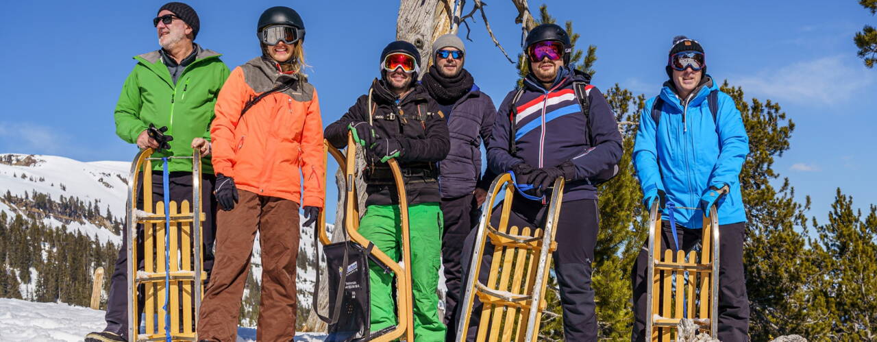 p34b_gruppe_baum.jpg Supporten, Analysieren, Optimieren, Digitalisieren