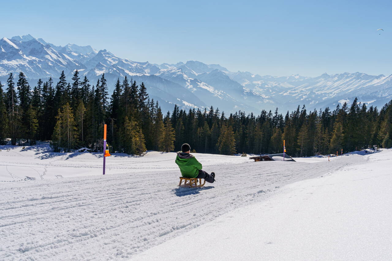 schlitteln_gabriel_panorama.jpg schlitteln_gabriel_panorama.jpg